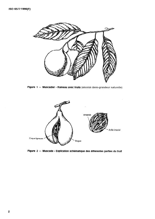 ISO 6577:1990 ISO 6577:1990 - Muscade entiere ou brisée et macis entier ou en morceaux (Myristica fragrans Houttuyn) -- Spécifications - Page 4 preview