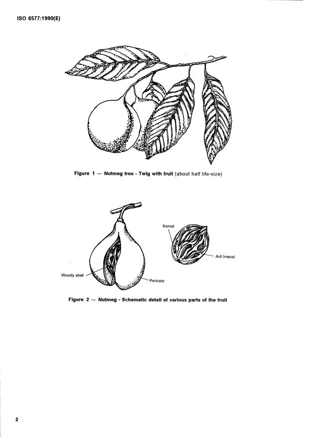 ISO 6577:1990 ISO 6577:1990 - Nutmeg, whole or broken, and mace, whole or in pieces (Myristica fragrans Houttuyn) -- Specification - Page 4 preview