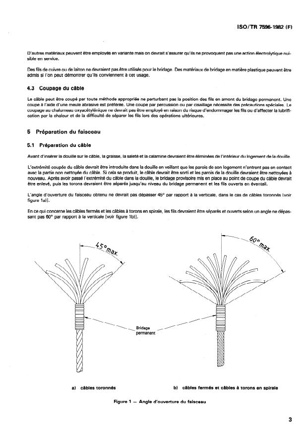ISO/TR 7596:1982 - Procédés de terminaison des câbles métalliques -- Manchonnage a l'aide de résine