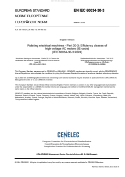 EN IEC 60034-30-3:2024 EN IEC 60034-30-3:2024 - BARVE - Page 3 preview