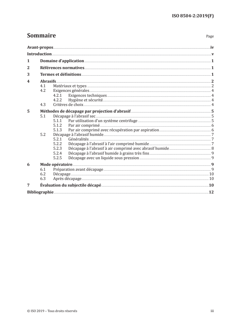 ISO 8504-2:2019 ISO 8504-2:2019 - Préparation des subjectiles d'acier avant application de peintures et de produits assimilés — Méthodes de préparation des subjectiles — Partie 2: Décapage par projection d'abrasif/31/2019 - Page 3 preview