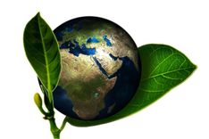 Standards package: ISO 14001 / ISO 14004 / ISO 19011 / ISO 14050 - Environmental Management Package