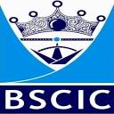 BSCIC Certifications Pvt. Ltd. logo